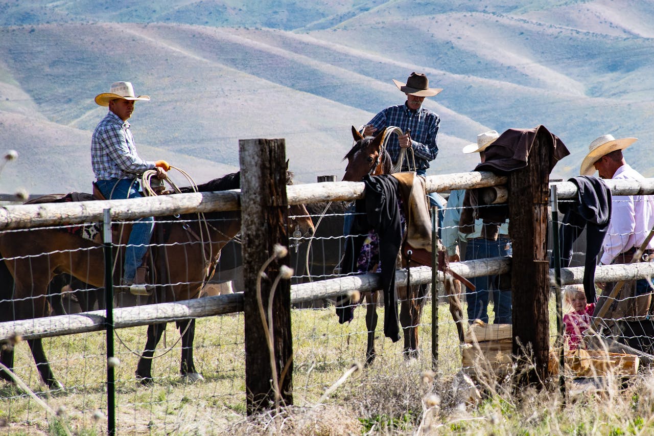Group of cowboys riding on horses near a farm fence in a rural setting.